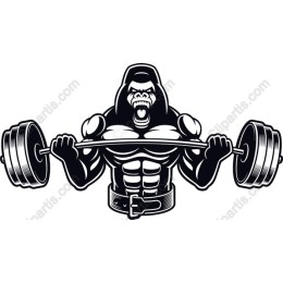 Muscular Gorilla Lifting Barbell
