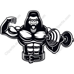 Muscle Gorilla