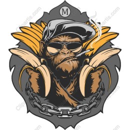 Cool Monkey
