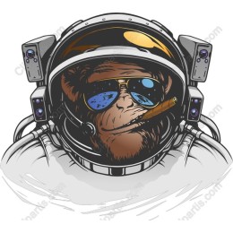 Astronaut Monkey