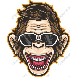 Playful Sunglasses Monkey