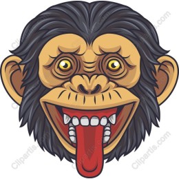 Playful Monkey Face
