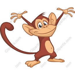 Playful Monkey
