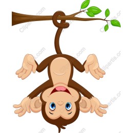 Adorable Monkey Hanging from Tree