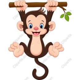 Cute Hanging Monkey