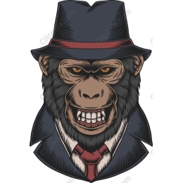 Dapper Gorilla