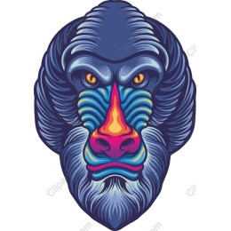 Vibrant Baboon Face