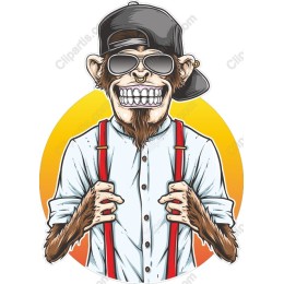 Cool Monkey