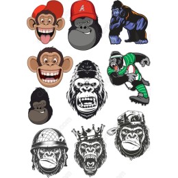 Monkey and Gorilla Collection