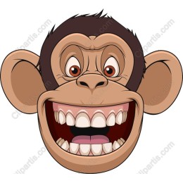 Playful Monkey Face
