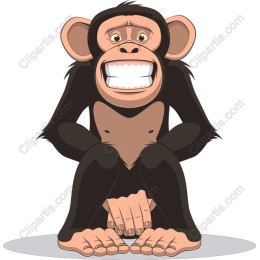 Cheerful Chimpanzee
