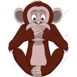 Silly Monkey