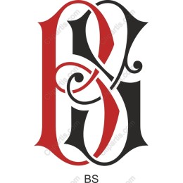 Elegant BS Monogram