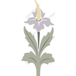 Elegant Floral