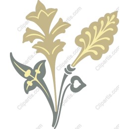 Elegance in Bloom: Floral