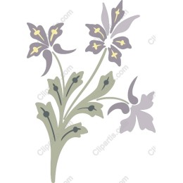 Delicate Floral