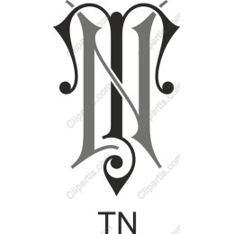 Elegant N and T Monogram