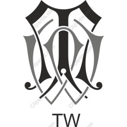 Elegant 'TW' Logo