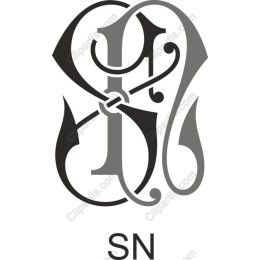 Elegant SN Monogram