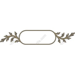 Elegant Floral Frame
