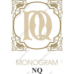Elegant NQ Monogram