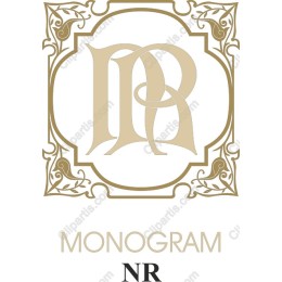 Elegant Monogram NR