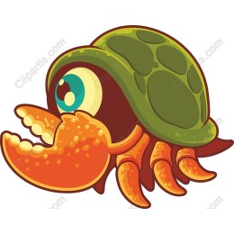 Whimsical Hermit Crab
