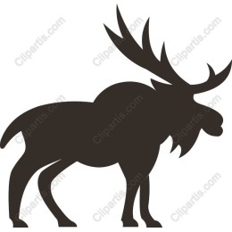 Majestic Moose