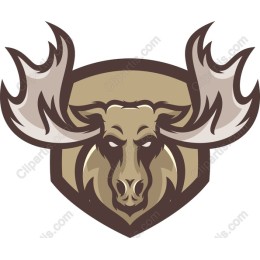 Majestic Moose Head