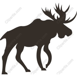 Majestic Moose