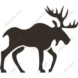 Majestic Moose