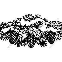 Rustic Pinecone