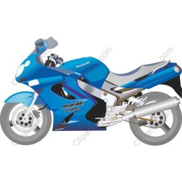 Kawasaki ZX-12R Motorcycle