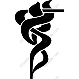 Stylized Medical Symbol