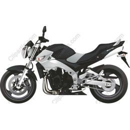 Sleek Motorcycle