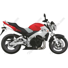 Sleek Motorcycle work