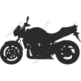 Dynamic Motorcycle