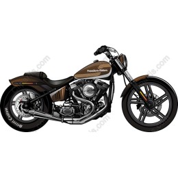 Freedom Riders Custom Motorcycle