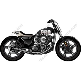 Custom Motorcycle