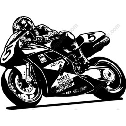 Dynamic Biker Racer