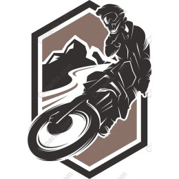 Dynamic Motorcycle Rider