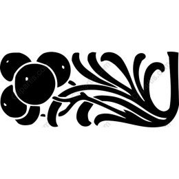 Elegant Organic Abstract