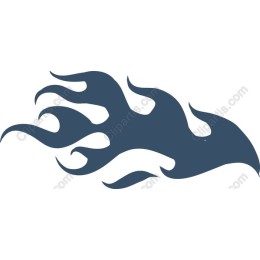 Dynamic Flame
