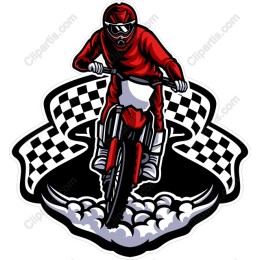 Motocross Action