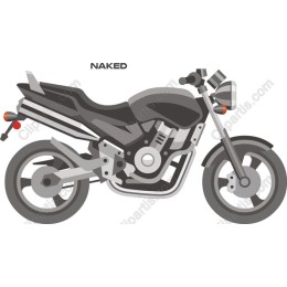 Stylish Naked Motorcycle