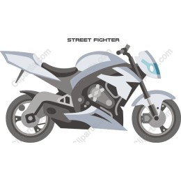 Street Fighter Motorcycle