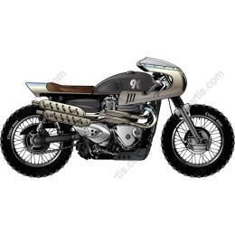 Sleek Motorcycle