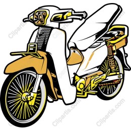 Stylish Scooter