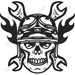 Skull Pilot