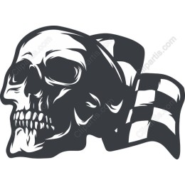 Edgy Skull with Checkered Bandana